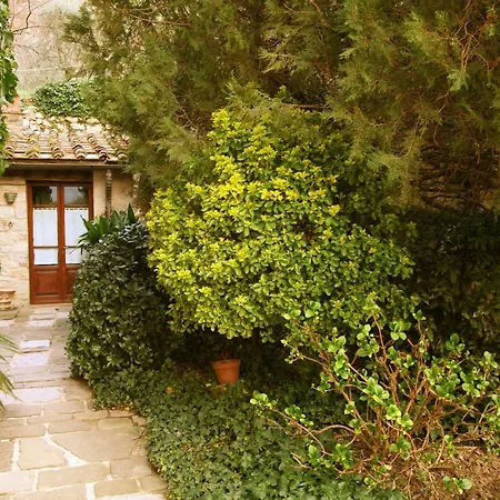 Bed & Breakfast Organi Vaiano (Tuscany)