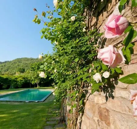 Organi * Vaiano (Tuscany)