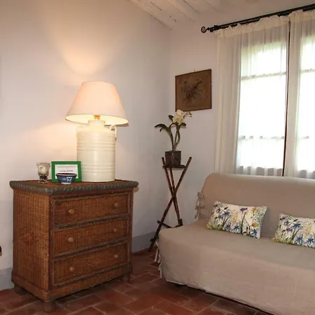 Organi Vaiano (Tuscany)