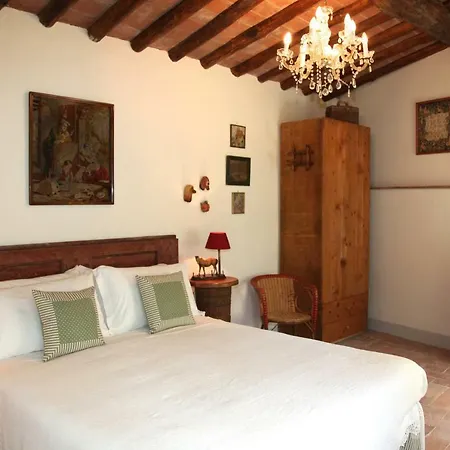Organi Vaiano (Tuscany)