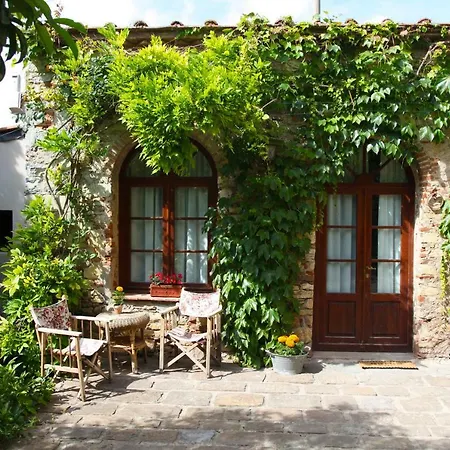 Organi Vaiano (Tuscany)