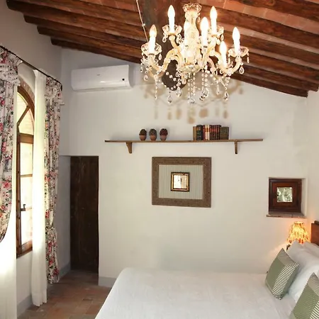 Bed & Breakfast Organi *