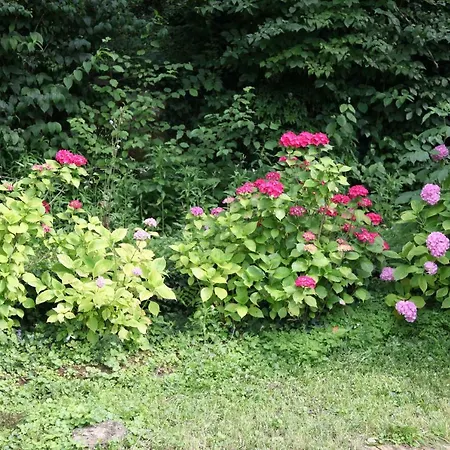 Bed & Breakfast Organi
