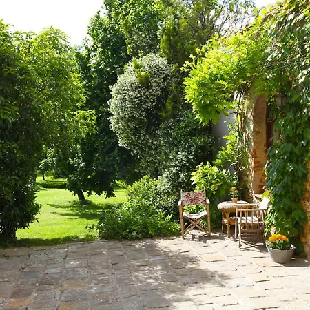 Organi Oda ve Kahvaltı Vaiano (Tuscany)
